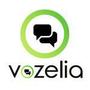 Vozelia Icon