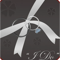 Wedding Planner Professional