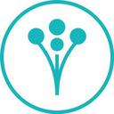 WeddingWire Reviews