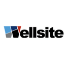 Wellsite Reviews