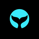 Whale Alerts Reviews