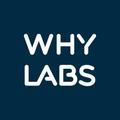 WhyLabs