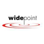 WidePoint Icon