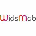 WidsMob Converter