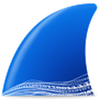 Wireshark Reviews