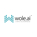 Wole AI Reviews