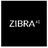 Zibra AI Reviews