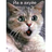 CrazyCat
