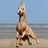 1FreePony