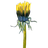 hackerb9