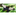 Maleo_P