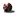 rayzer