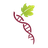 Vitis