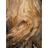 woodgrain