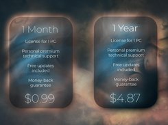 4-Organizer Ultra: License pricing