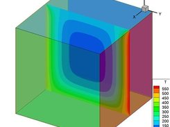 Solution at 10000 time steps