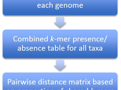 workflow of aaf-phylogeny