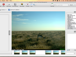 Tagging Images