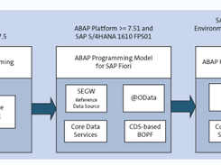 ABAP Screenshot 1