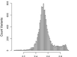 Normal Allele Balance