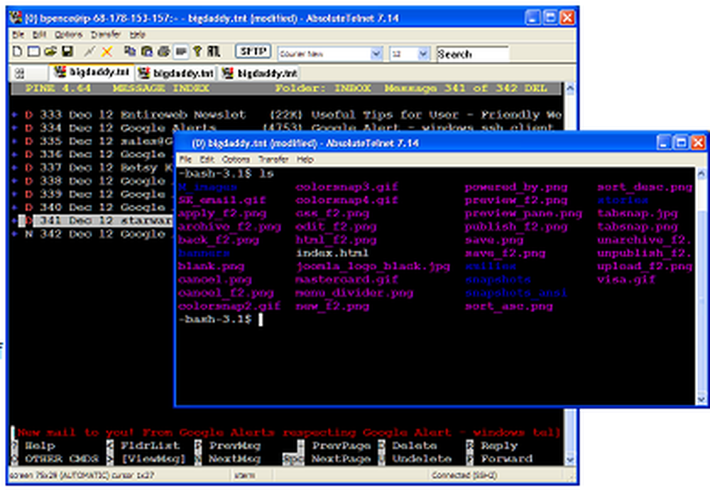 AbsoluteTelnet SSH Client Screenshot 1