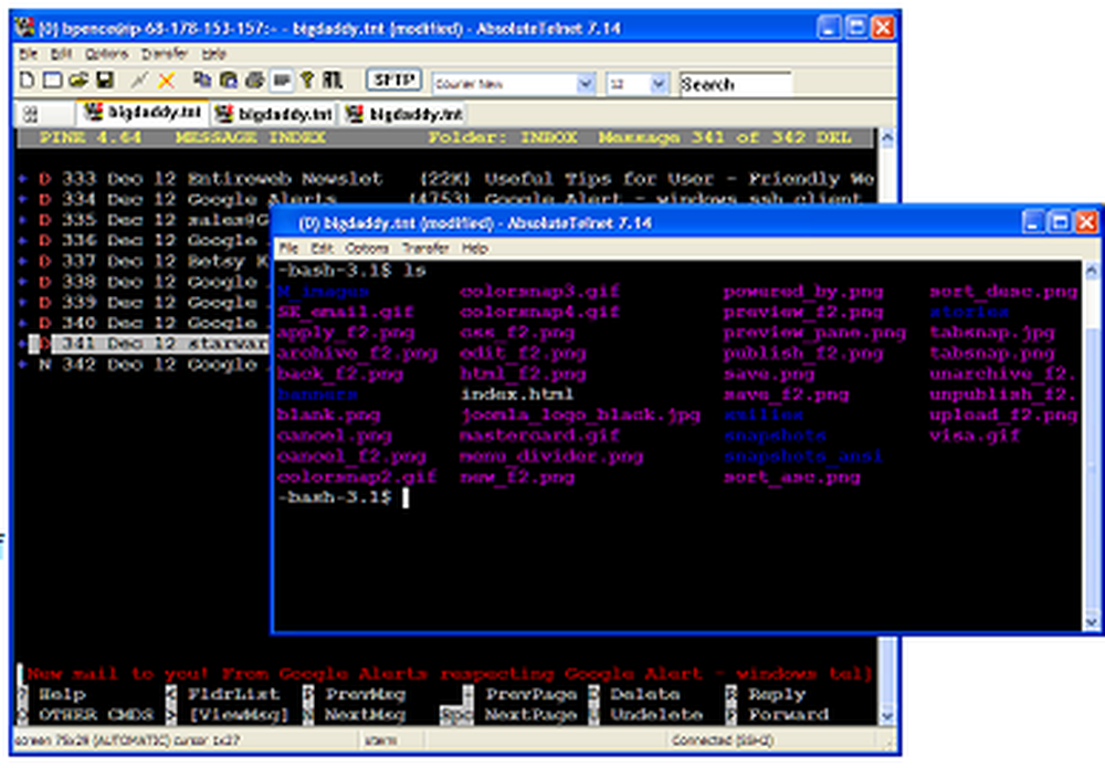 AbsoluteTelnet Screenshot 1