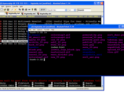 AbsoluteTelnet SSH Client Screenshot 1