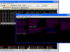 AbsoluteTelnet Screenshot 1