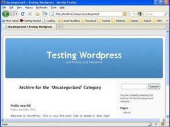 View Wordpress with path permalink /%category%/%postname%/ 