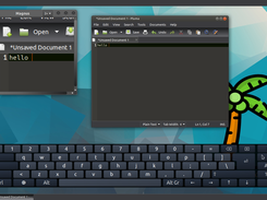 On screen keyboard and magnifier