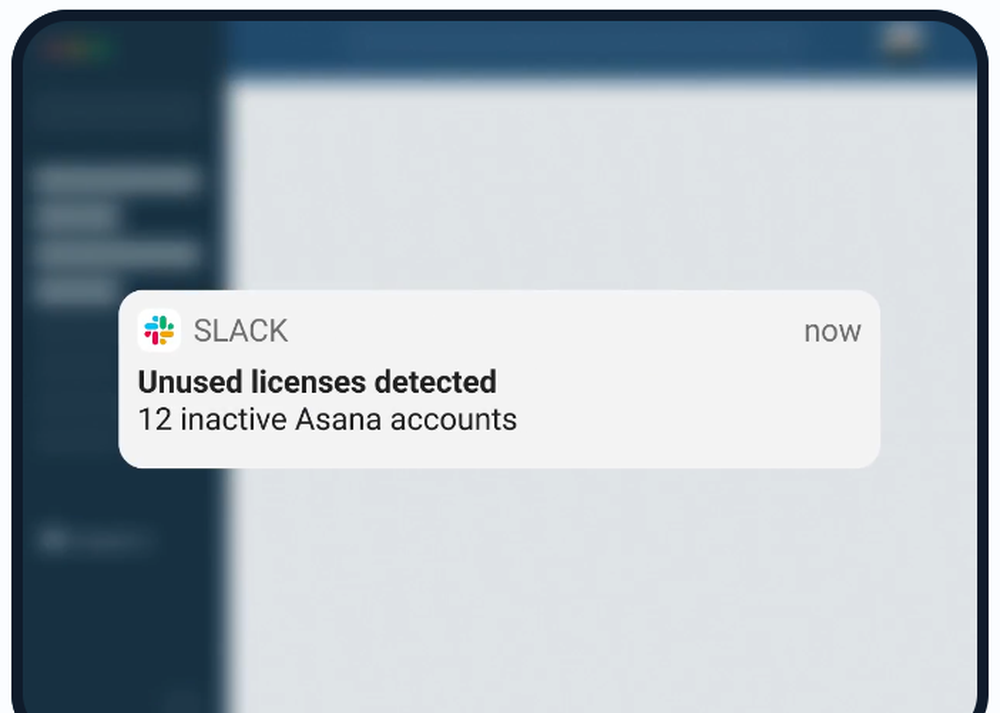 AccessOwl Screenshot 1
