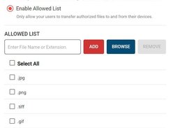 Selectively block file transfers to portable storage devices based on file name and/or extension