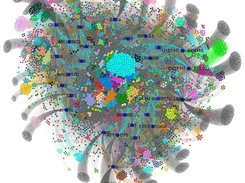 Accessory genome network of 27 Escherichia coli .