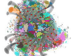 Accessory genome network of 25 Enterococcus faecium