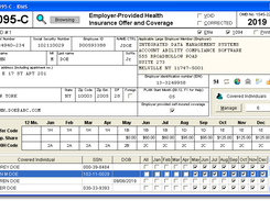1095-C User Interface