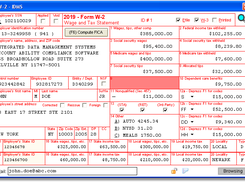 W-2 User Interface