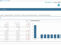 AccountsIQ CFO Reporting Dashboard