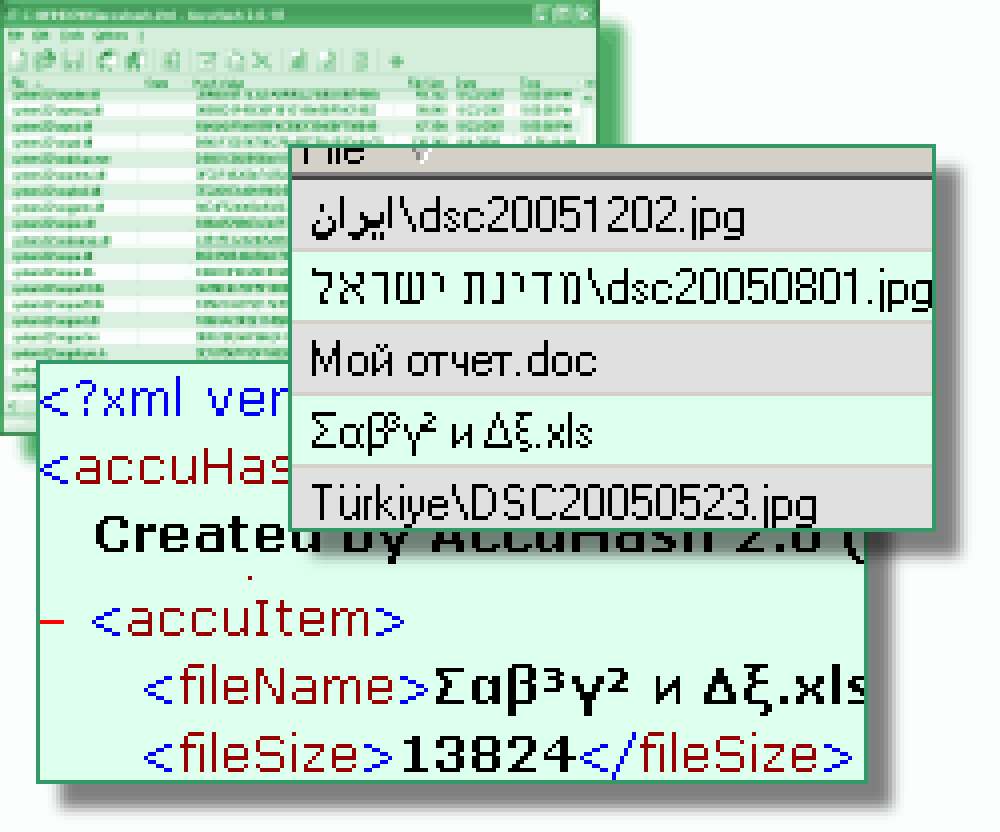AccuHash Screenshot 1