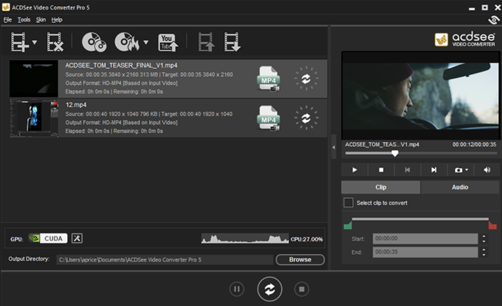 ACDSee Video Converter Screenshot 1