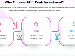 Ace Peak Investment Screenshot 1