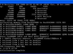 Ace running in Qemu