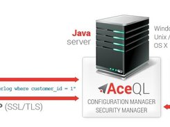 AceQL 