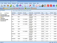 ACESoft Business Manager Accounting Feature