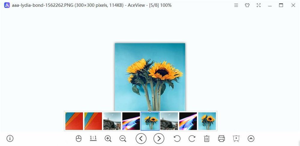 image viewer