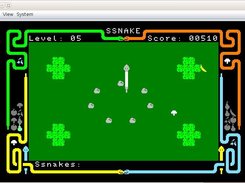 Snake level 5