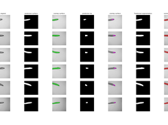 Test segmentation microscopy function