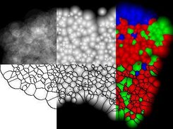 Visualisazion of the Growing-Space - Weighted Voronoi