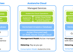 Actian Avalanche Screenshot 2