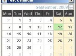 Disabled Calendar