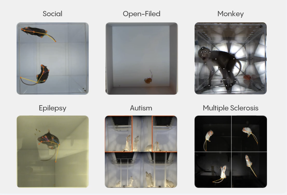 ACTVERSE Screenshot 1